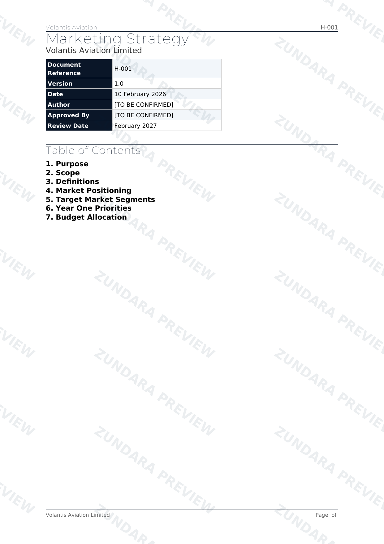 Preview of Marketing Strategy
